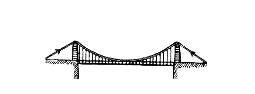 logo white 2